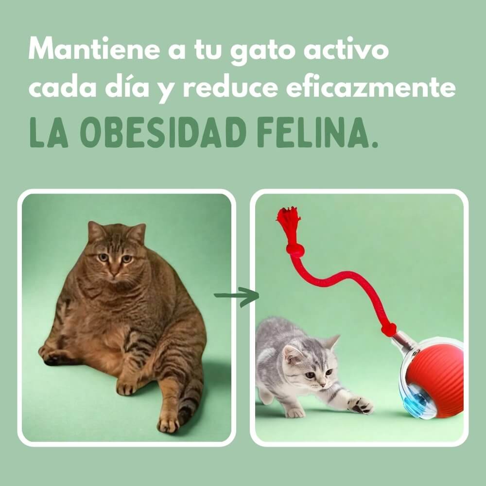 LocaFelina 2X1 - La pelota inteligente que activa a tu gato