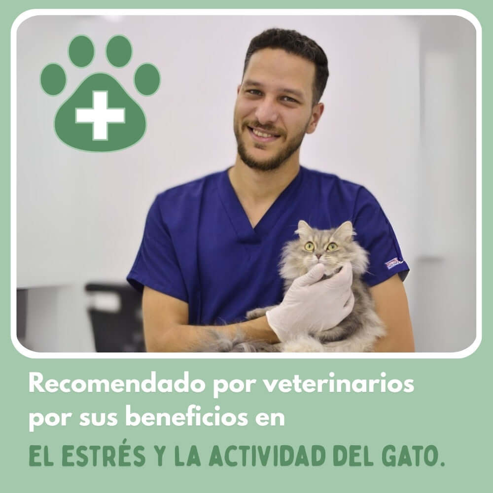 LocaFelina 2X1 - La pelota inteligente que activa a tu gato