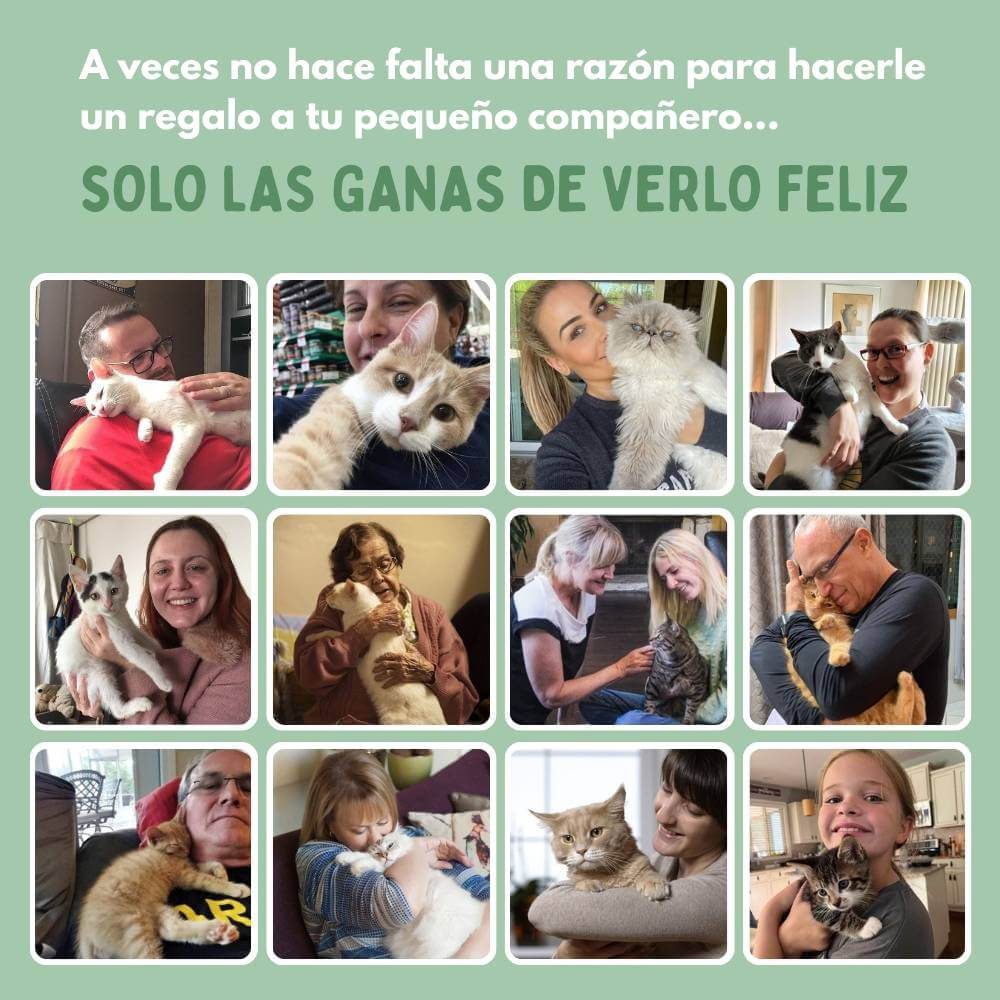 LocaFelina 2X1 - La pelota inteligente que activa a tu gato