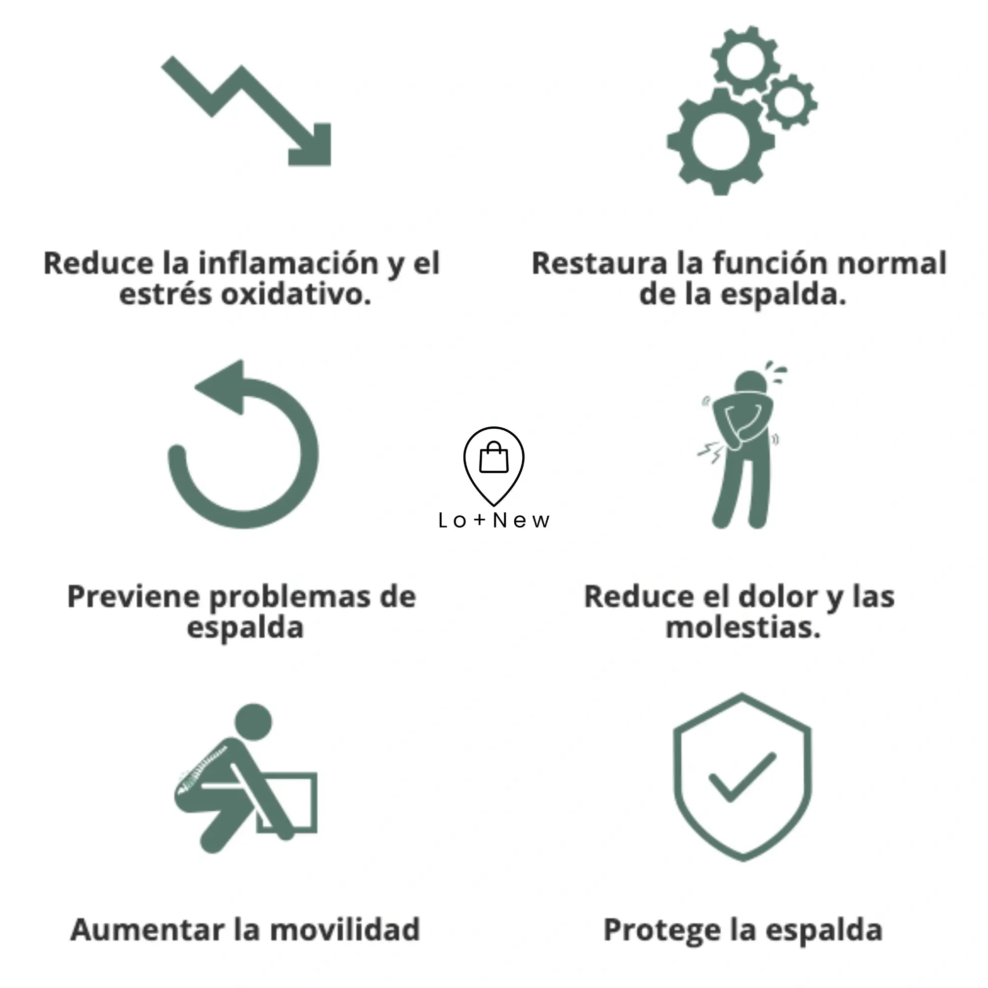 Encabezado